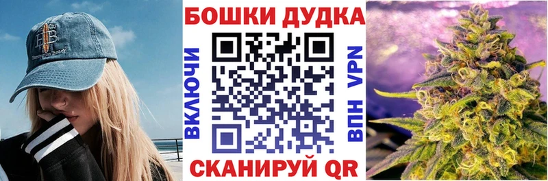 Конопля сатива Рудня